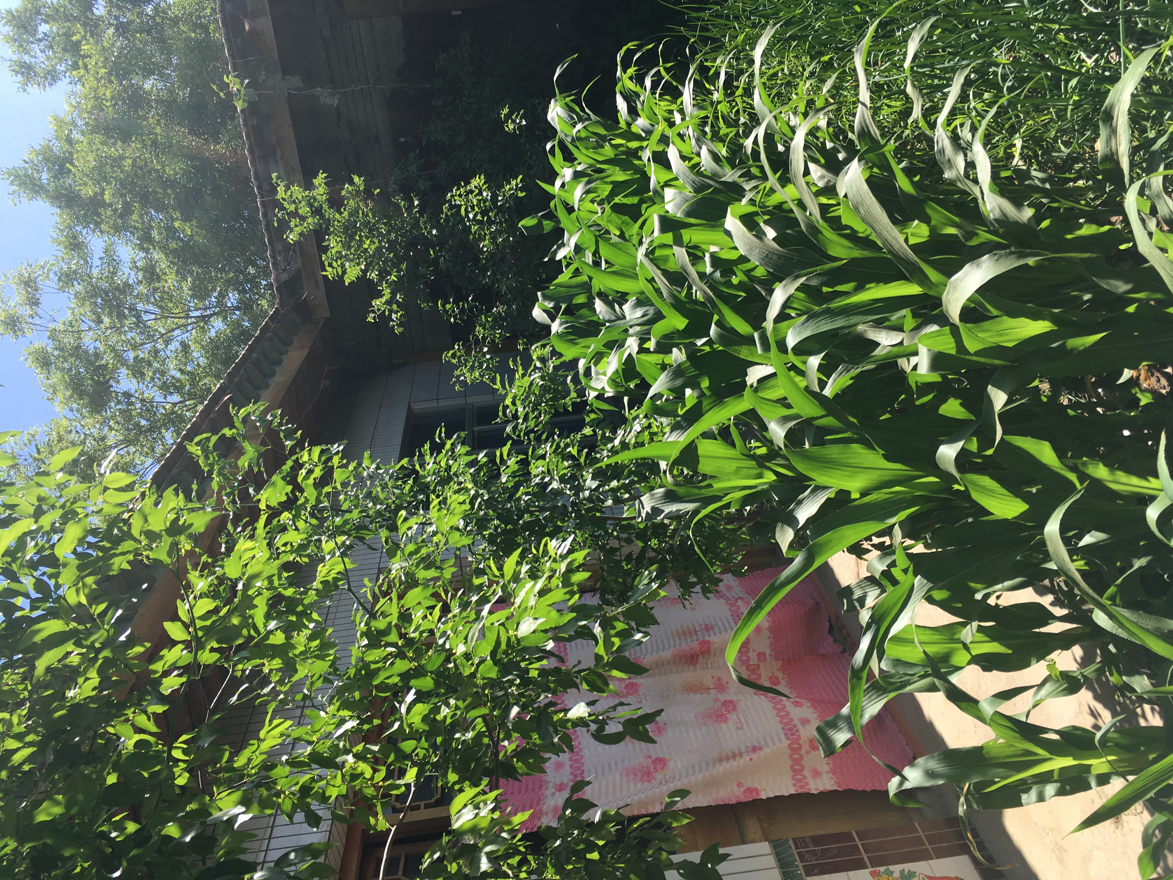 靠近片段 01